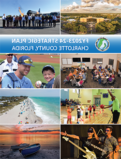cover of the strategic plan
